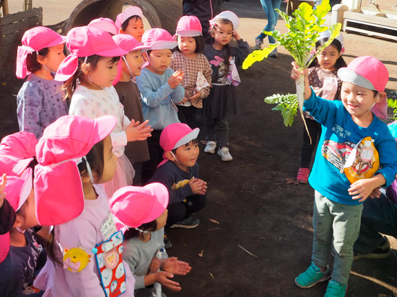 育英幼稚園の特色ある教育　食育